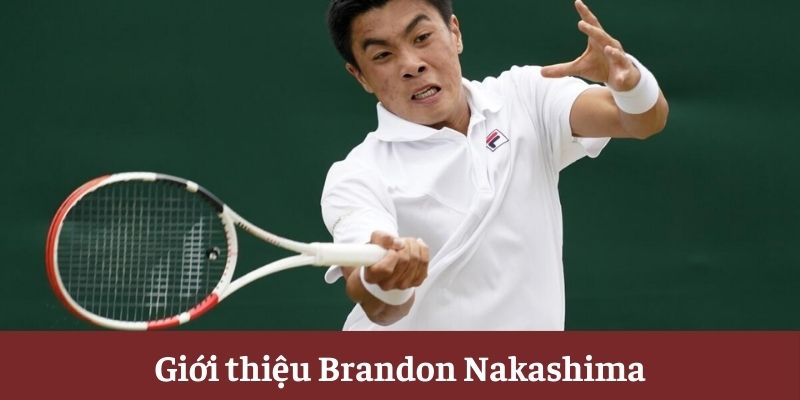 Giới thiệu Brandon Nakashima Giới thiệu Brandon Nakashima