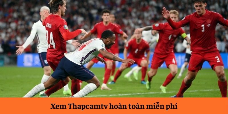 Xem Thapcamtv hoàn toàn miễn phí Xem Thapcamtv hoàn toàn miễn phí